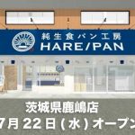 純生食パン工房 HARE/PAN ７月２２日オープン